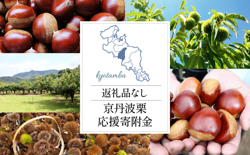 [返礼品なしの寄附] 京丹波栗 応援寄附金 1000円