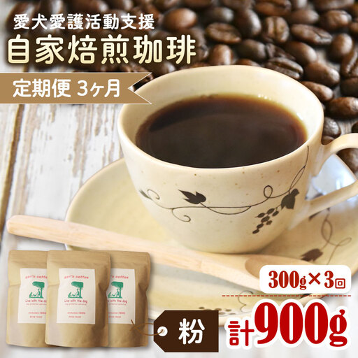 コーヒー粉 [定期便3か月]ann's cafe 100g×3種 コーヒー粉