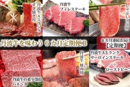 【6ヶ月定期便】丹波牛を味わう 定期便B  ( 丹波牛定期便 食べ比べ定期便 牛肉定期便 焼肉 すき焼き しゃぶしゃぶ 定期便 ローストビーフ付き定期便 ブロック 肉 A5 ランク 牛 冷凍 定期便 京都 京丹波町 定期便 ) [220IZ001R]