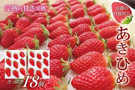 [2025年1月以降発送予定]京都 丹波高原育ちのいちご あきひめ レギュラー 18個 (9個×2パック) 京丹波町産 完熟 いちご 甘さ抜群 京都誠志郎農園 ※北海道・東北・沖縄は配送不可 [011KS001]