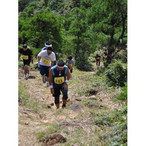 �悳�̑�]�R�o�R�}���\���@��]�R�c���R�[�X(23.5km�̕�)�@1���l�Q�����@2026/5/31�J��_���s���E�`�P�b�g   _�y1511155�z