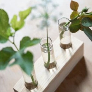 森の美しさを守る 与謝野ヒノキの1輪挿し 京都丹後の檜を使用したシンプルデザインのインテリア_雑貨・日用品 家具・インテリア _