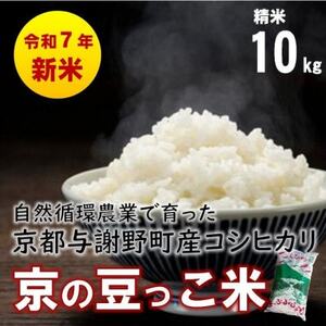 ʌ!ߘa7NYV Rz_Ƃňs^Ӗ쒬YRVqJu̓āv@10kgy1625698z