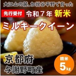 ystz ߘa7NVā@]R̘[A^Ӗ쒬ňOY~L[NC[@5kg@_ƒy1652508z