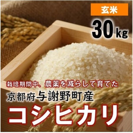 令和7年産米 京都丹後産コシヒカリ 玄米30kg 栽培期間中、農薬を減らして育てたお米