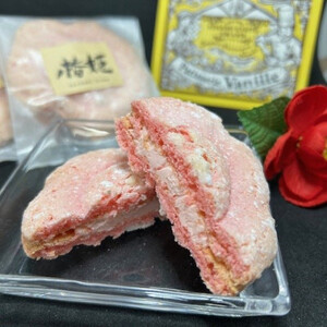 椿の花を型どったダックワーズ[椿姫] 与謝野町のおみやげにぴったり焼き菓子 ご自宅用のスイーツ にも_菓子・スイーツ 焼き菓子 _[配送不可地域:離島]