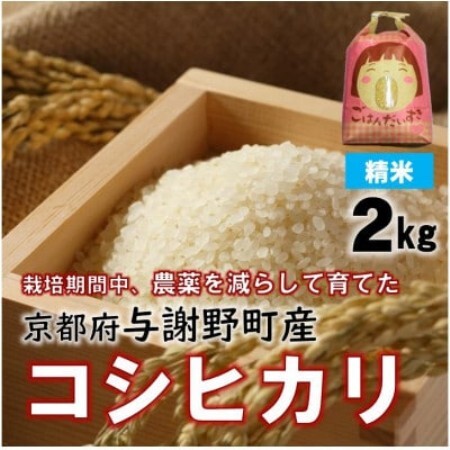 京都丹後産コシヒカリ 精米2kg 栽培期間中、農薬を減らして育てたお米 農家直送