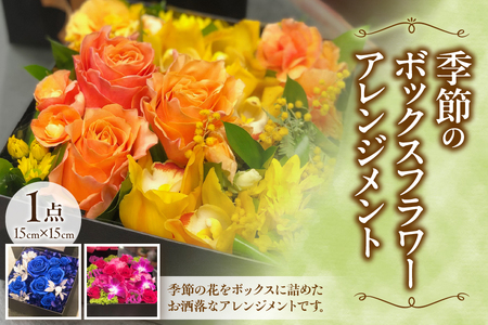 [配達日時指定可能!贈り物にもぴったり!]季節のボックスフラワーアレンジメント