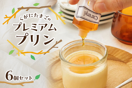くがにたまごのプレミアムプリン・6個