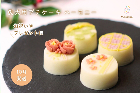 [10月発送][MyBESTiee]愛犬用 プチケーキ ハーモニー[ 愛犬用ケーキ プチケーキ 犬ケーキ 犬 ペット おやつ ペット おやつ 国産 無添加 手作り ハーモニー デコレーションケーキ 大阪市 アニマルライフパートナー 誕生日 バースデー アニバーサリー 特別な日 お祝い ご褒美 ヘルシー 低脂肪 低カロリー ポテト ささみ 小型犬 中型犬 食べきりサイズ 可愛い 美味しい 優しい 手作り ペットフーディスト ]_OS097-0002-10