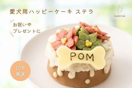 [10月発送][MyBESTiee]愛犬用 ハッピーケーキ ステラ[ 愛犬用ケーキ プチケーキ 犬 犬 ペット おやつ ペット おやつ 国産 無添加 手作り ハーモニー デコレーションケーキ 大阪市 アニマルライフパートナー 誕生日 バースデー アニバーサリー 特別な日 お祝い ご褒美 ヘルシー 低脂肪 低カロリー ポテト ささみ 小型犬 中型犬 食べきりサイズ 可愛い 美味しい 優しい 手作り ペットフーディスト ]_OS097-0003-10