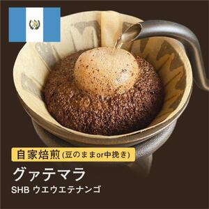 [粉]#004 グァテマラ SHB ウエウエテナンゴ コーヒー豆 310g 自家焙煎 大山珈琲