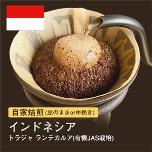 [豆]#007 トラジャ ランテカルア コーヒー豆 310g 自家焙煎 大山珈琲