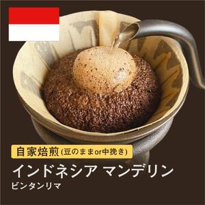 [豆]#075 インドネシア マンデリン ビンタンリマ コーヒー豆 310g 当日焙煎 大山珈琲