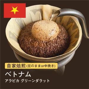 [粉]#172 ベトナム アラビカ グリーンダラット コーヒー豆 310g 当日焙煎 大山珈琲