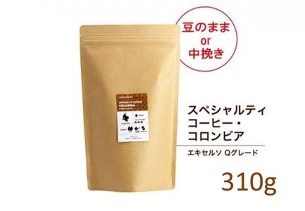 [豆]#903 コロンビア エキセルソ Qグレード コーヒー豆 310g 当日焙煎 大山珈琲