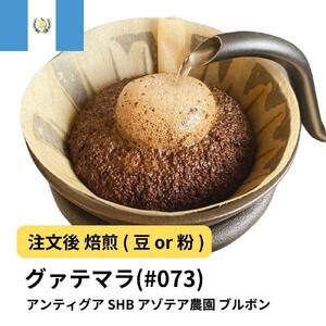 [豆]コーヒー #073 グアテマラ アンティグア SHB アゾテア農園 ブルボン 310g 当日焙煎 大山珈琲