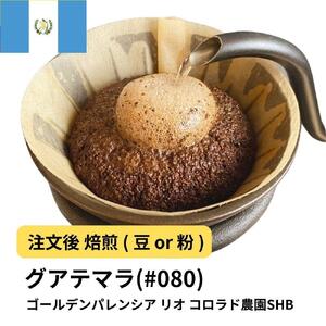 [豆]コーヒー #080 グアテマラ ゴールデンパレンシア リオ コロラド農園SHB 310g 当日焙煎 大山珈琲