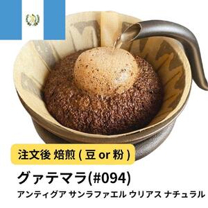 [豆]コーヒー #094 グァテマラ アンティグア サンラファエル ウリアス ナチュラル Qグレード 310g 当日焙煎 大山珈琲