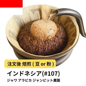 [豆]コーヒー #107 ジャワ アラビカ ジャンピット農園 310g 当日焙煎 大山珈琲
