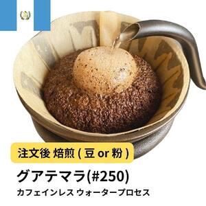 [豆]コーヒー #250 グアテマラ デカフェ ウォータープロセス 310g 当日焙煎 大山珈琲