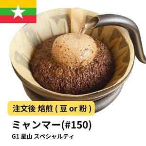 [豆]コーヒー #150 ミャンマー G1 星山 310g 当日焙煎 大山珈琲