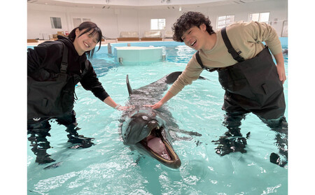 ノアドルフィンドーム 浅瀬でイルカと遊ぶ体験 ペア入場券付