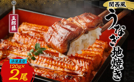 関西風うなぎ地焼き 冷凍真空 2尾×120g うなぎ ウナギ タレ 老舗 伝統 蒲焼き 真空パック 小分け 丑の日 ひつまぶし うな重 お取り寄せ グルメ プレゼント 贈答 贈り物 土用の丑の日 五郎藤 大阪府 堺市