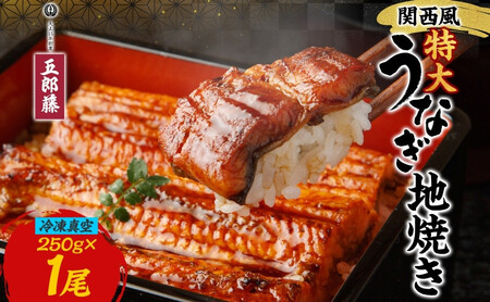 ֐ȂnĂ Ⓚ^ 1×250g Ȃ EiM ^ V ` Ă ^pbN  N̓ Ђ܂Ԃ ȏd  O v[g  蕨 yp̉N̓ ܘY