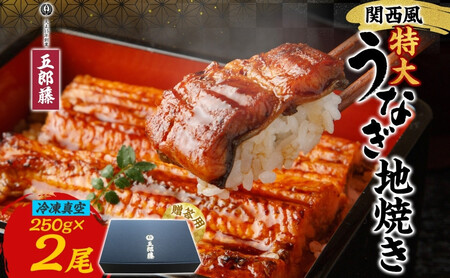 関西風うなぎ地焼き特大 冷凍真空 2尾×250g 贈答 うなぎ ウナギ タレ 老舗 伝統 蒲焼き 小分け 丑の日 ひつまぶし うな重 お取り寄せ グルメ プレゼント 贈答 贈り物 土用の丑の日 五郎藤 大阪府 堺市