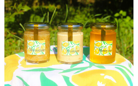 泉北レモン(R)至福の3本セット(マーマレード・フロマージュ・レモンはちみつ)