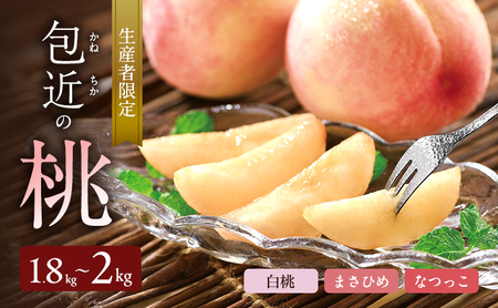生産者限定 包近の桃(白鳳・まさひめ・なつっこ) 約1.8kg〜2kg もも 桃 大阪府 岸和田市