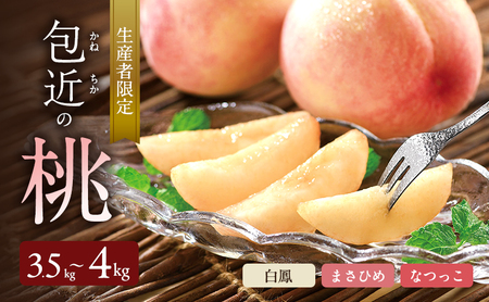生産者限定　包近の桃(白鳳・まさひめ・なつっこ) 約3.5kg～4kg　もも 桃 大阪府 岸和田市