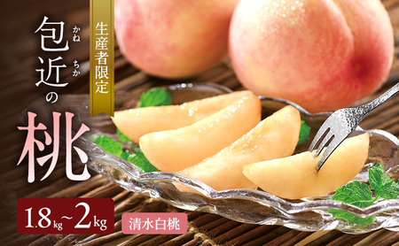 生産者限定 包近の桃(清水白桃) 約1.8kg〜2kg もも 桃 大阪府 岸和田市