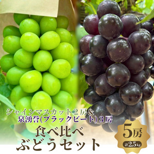 食べ比べ人気ぶどう シャインマスカット2房+泉湧誉3房 5房セット