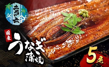 2026先行予約【7月発送】 国産うなぎ蒲焼 5尾 (1.2kg～1.25kg) 国産 うなぎ ウナギ 鰻 国産うなぎ 国産鰻 うなぎの蒲焼 鰻の蒲焼 うなぎの蒲焼き 鰻の蒲焼き 蒲焼き 惣菜 魚 魚介 魚介類 大阪 大阪府 岸和田市