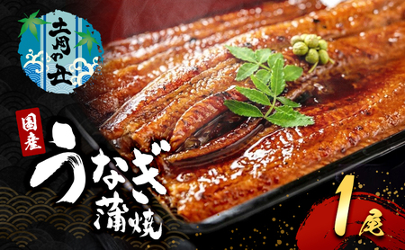 [2025年7月12日より発送]土用の丑の日「国産うなぎ蒲焼」1尾(240g〜250g)