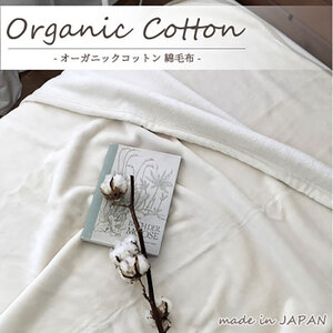 [シングル]贅沢ふわふわオーガニックコットン綿毛布 140×200cm IV OGMM-1-IV