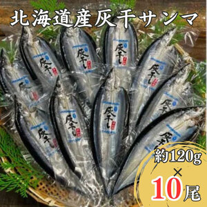 灰干サンマ10尾セット