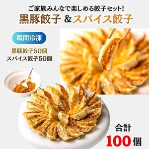 [瞬間生冷凍]スパイスと黒豚餃子 50個×2セット
