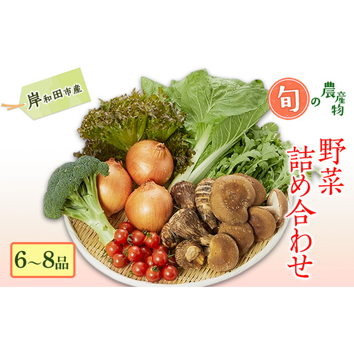 野菜 詰め合わせ 旬の野菜セット (6〜8品) 岸和田市産 産地直送 新鮮 農産物 国産 詰め合わせセット お取り寄せ グルメ つめあわせ おかず サラダ 普段使い 日用品 常備菜 旬 野菜 大阪府 岸和田市