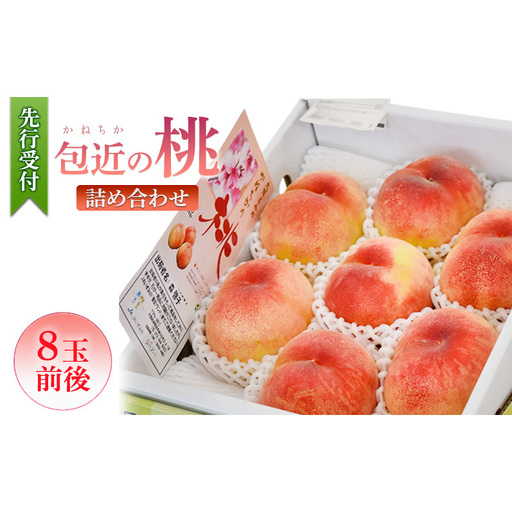 包近の桃 8玉前後 先行予約 桃 もも 詰め合わせ [数量限定]高糖度ブランド フルーツ 果物 モモ 旬 贈り物 ギフト 季節限定 デザート 特産品 2026年発送 大阪府 岸和田市
