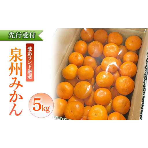 泉州みかん 5kg 先行予約 愛彩ランド厳選 ミカン みかん 蜜柑 [数量限定]フルーツ 果物 くだもの 柑橘 旬の味覚 お取り寄せ 冬ギフト 贈り物 ギフト 家庭用 大阪府 岸和田市
