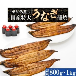 うなぎ 岸和田市の返礼品 検索結果 | ふるさと納税サイト「ふるなび」