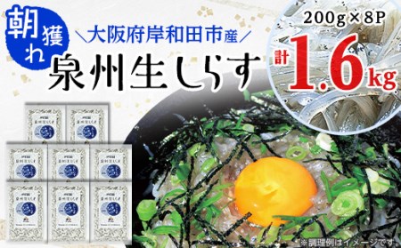 ふるさと納税「生しらす」の人気返礼品・お礼品比較 - 価格.com