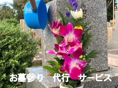 Q@sî|A̐􂢁AAԁAA낤tjQ@1
