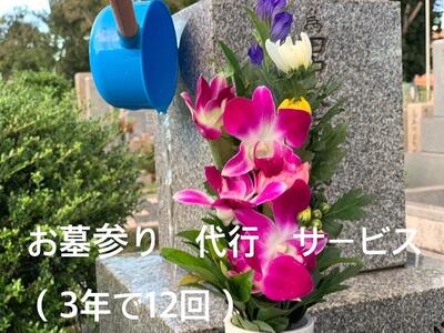 墓参り 代行(お墓のお掃除、お墓の水洗い、草抜き、供花、線香、ろうそく付き) 3年で12回