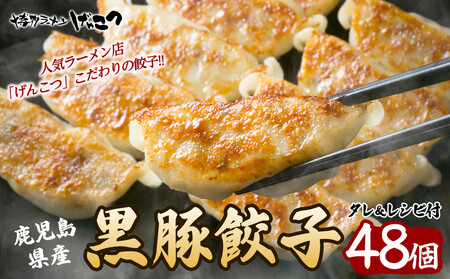 黒豚 冷凍餃子 48個