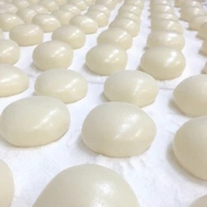 丸餅 杵つき餅 2kg 小分け 【100%国産米】【ibuk0002A】