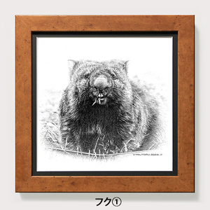 [77-01]ウォンバット 鉛筆画 原画(フク)